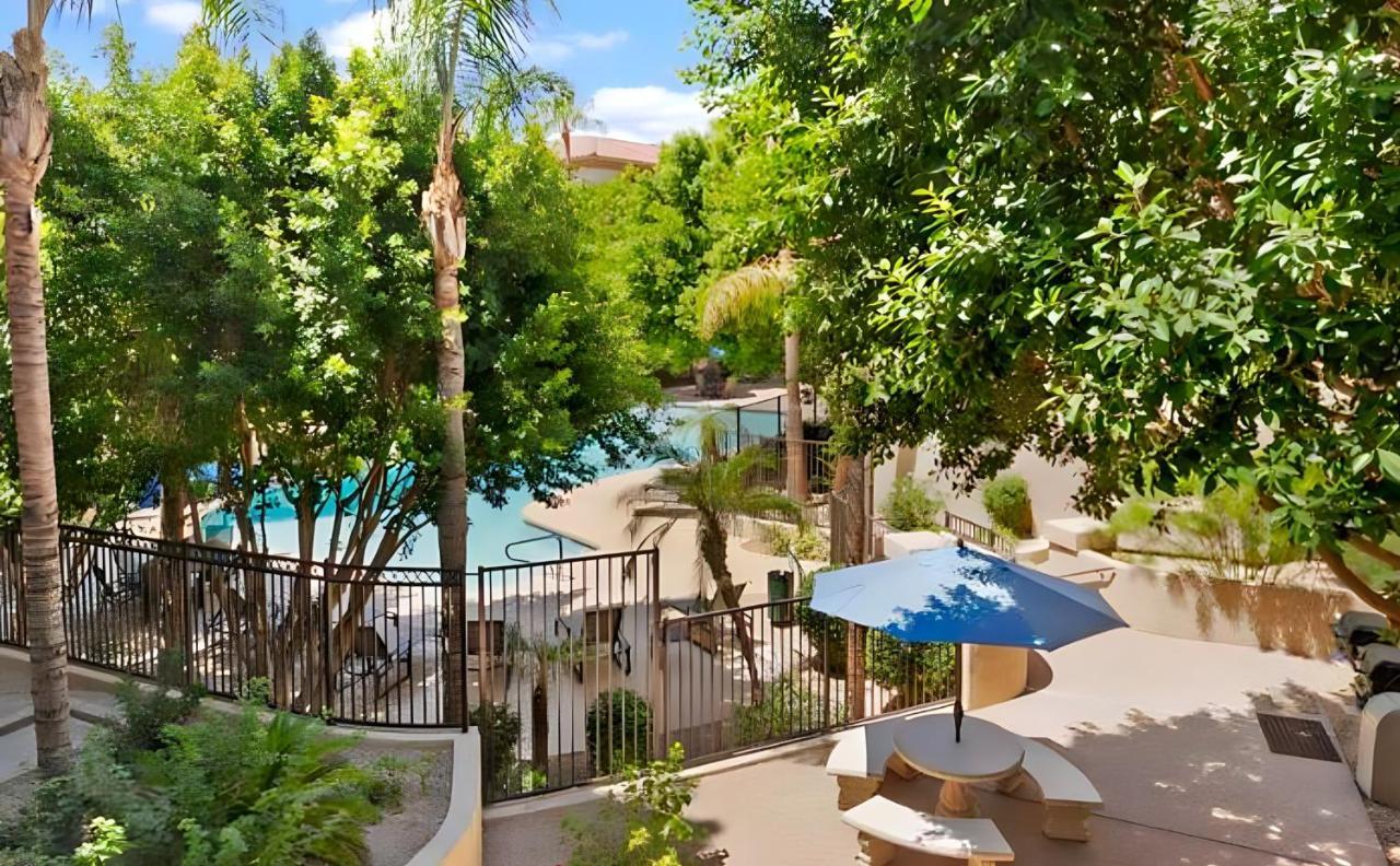 Biltmore Bliss Desert Retreat! Phoenix Exterior photo